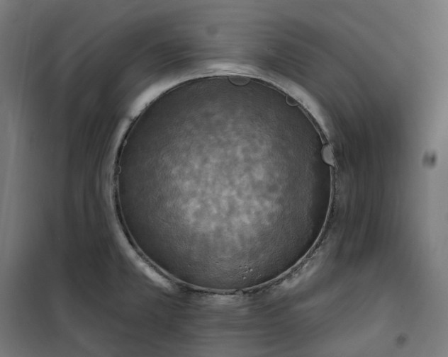 X0000100501381200806201705