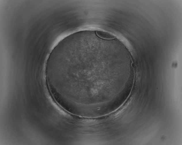 X0000100501382200806201705