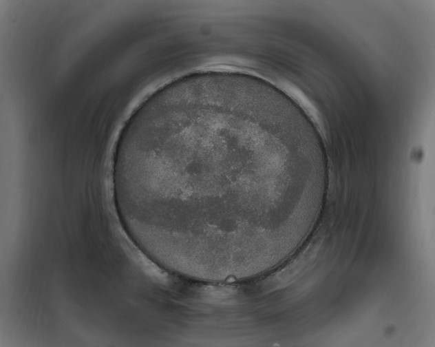 X0000100501384200806201705