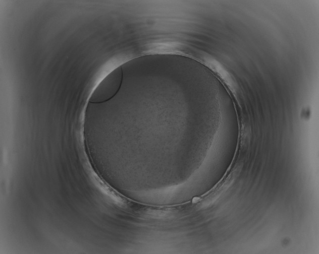 X0000100501386200806201705