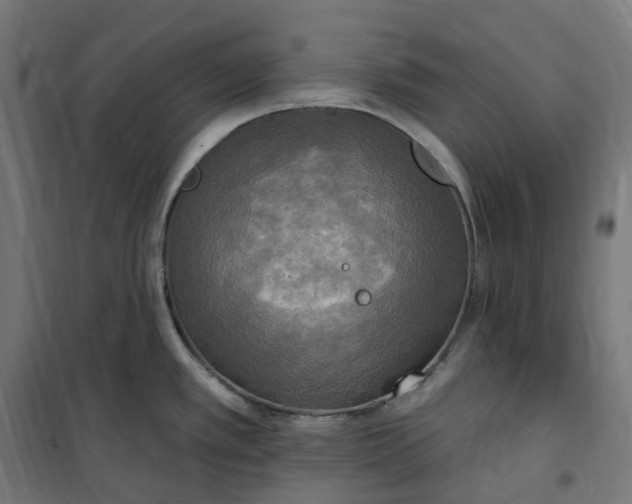 X0000100501389200806201705