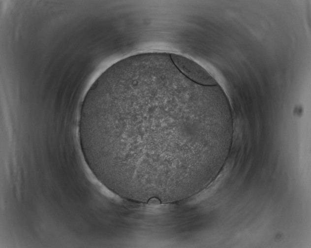 X0000100501390200806201705