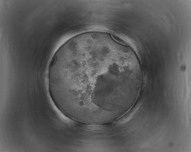 X0000100501391200806201705