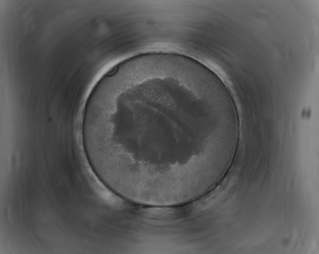 X0000100501392200806201705