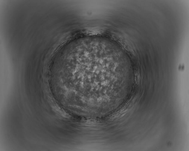 X0000100501393200806201704