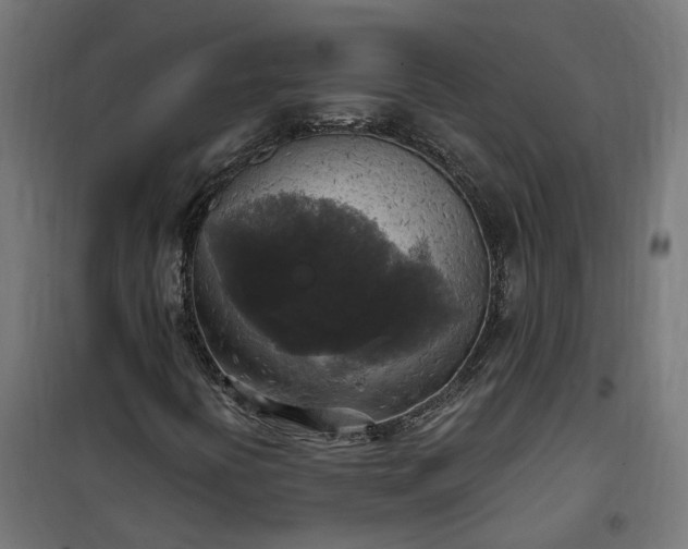 X0000100501394200806201704