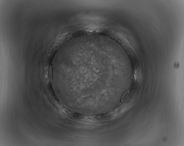 X0000100501396200806201704