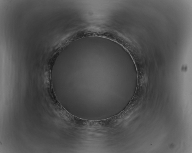 X0000100501397200806201704