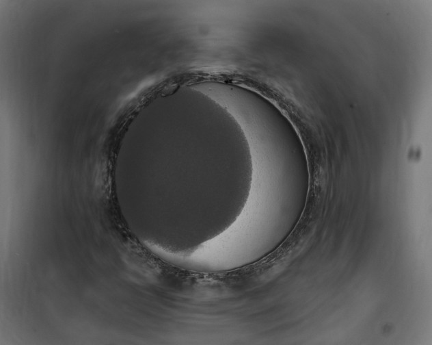 X0000100501398200806201704