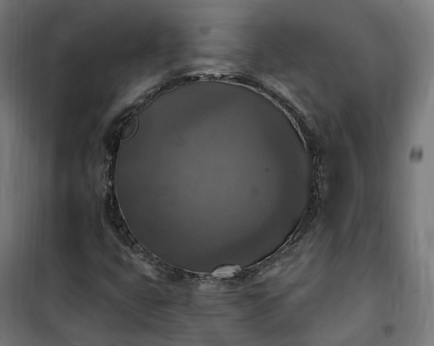 X0000100501399200806201704