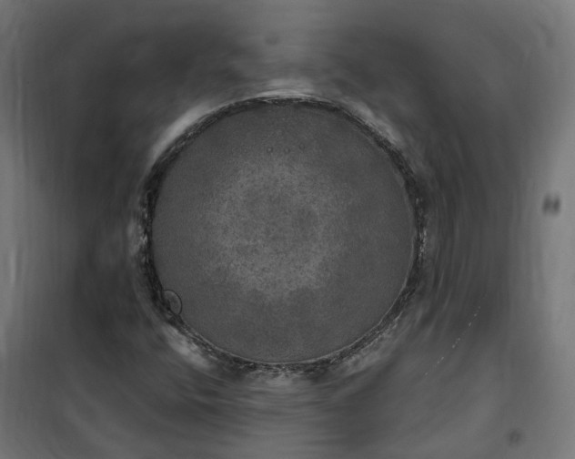 X0000100501400200806201704