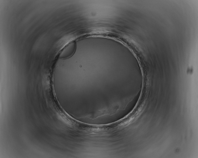 X0000100501401200806201704