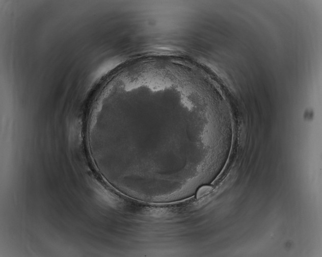 X0000100501402200806201704