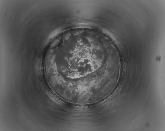 X0000100501403200806201704