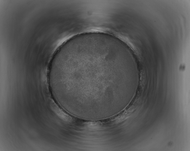 X0000100501404200806201704