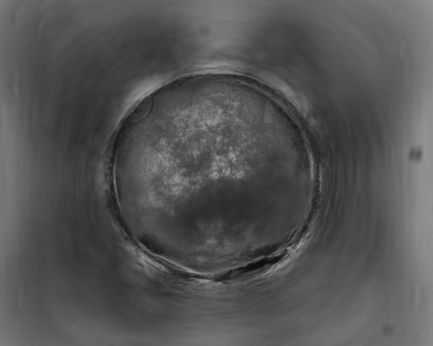 X0000100501405200806201704