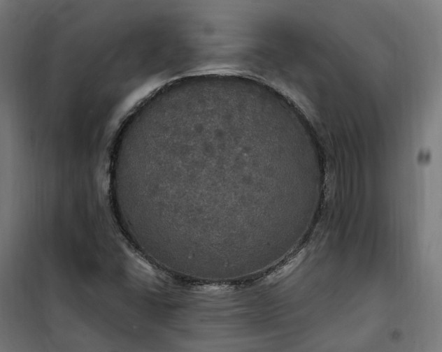 X0000100501406200806201704