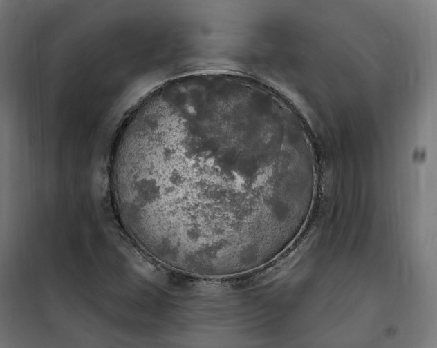 X0000100501407200806201704