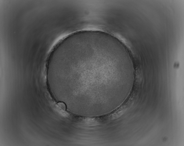 X0000100501408200806201705