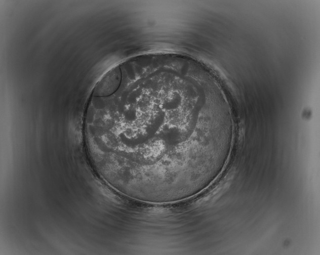 X0000100501409200806201705