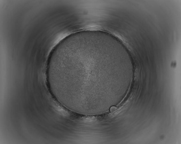 X0000100501410200806201705