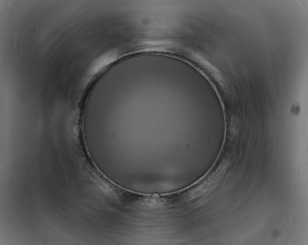 X0000100501411200806201705