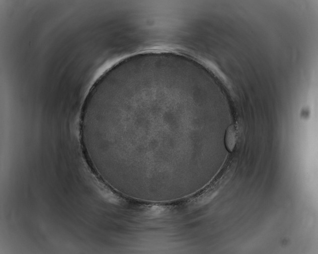 X0000100501412200806201705