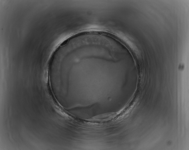 X0000100501413200806201705