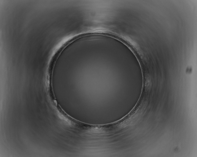 X0000100501414200806201705