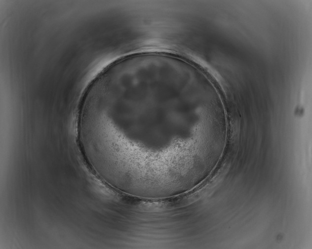 X0000100501415200806201705