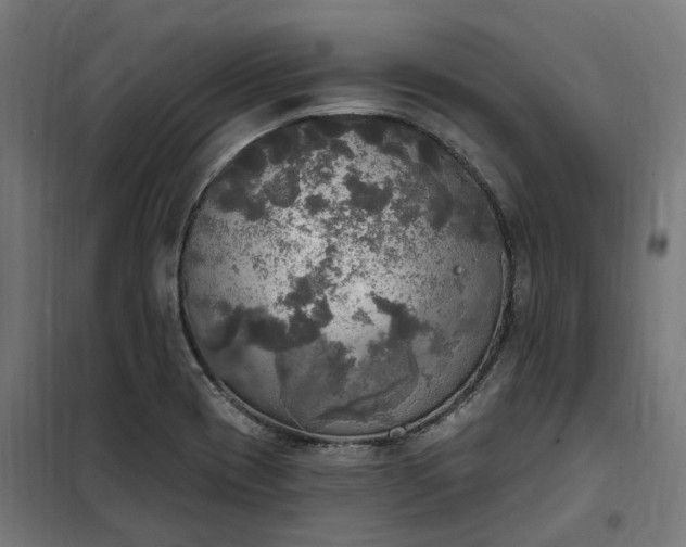 X0000100501417200806201705