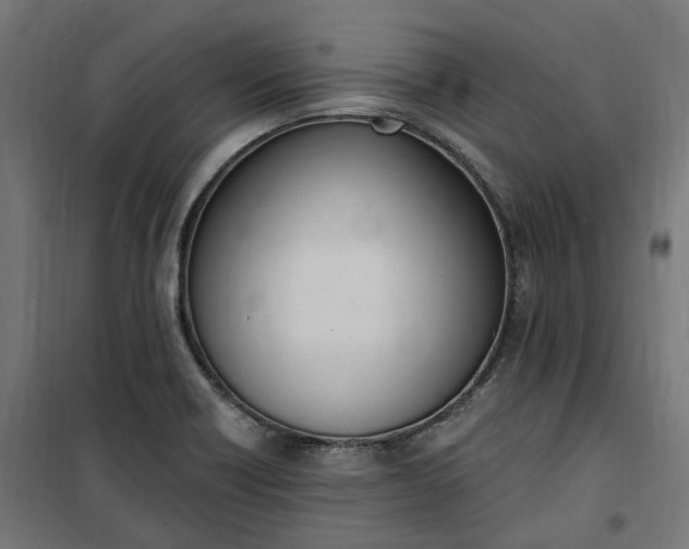 X0000100501418200806201705