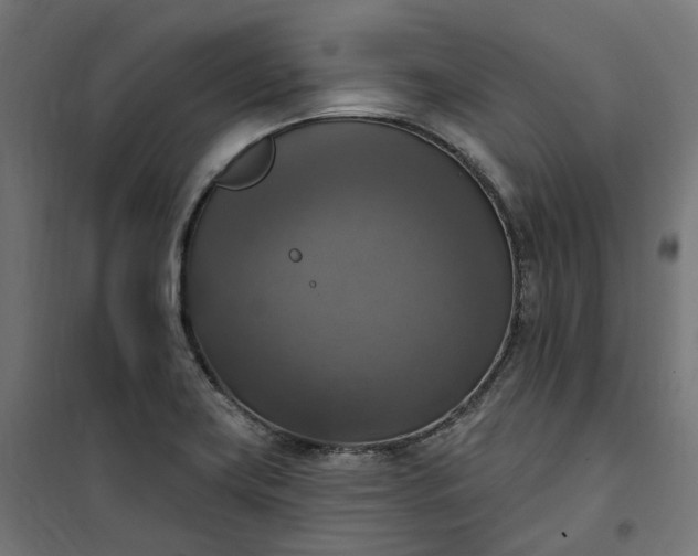 X0000100501419200806201705