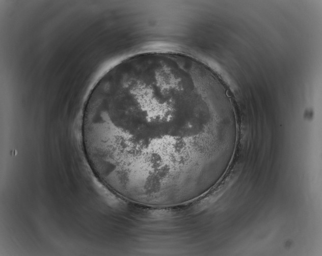 X0000100501421200806201705