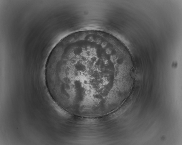 X0000100501423200806201705