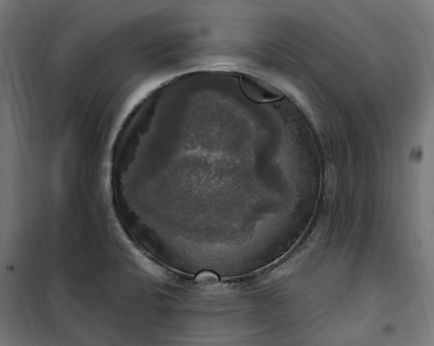 X0000100501424200806201705