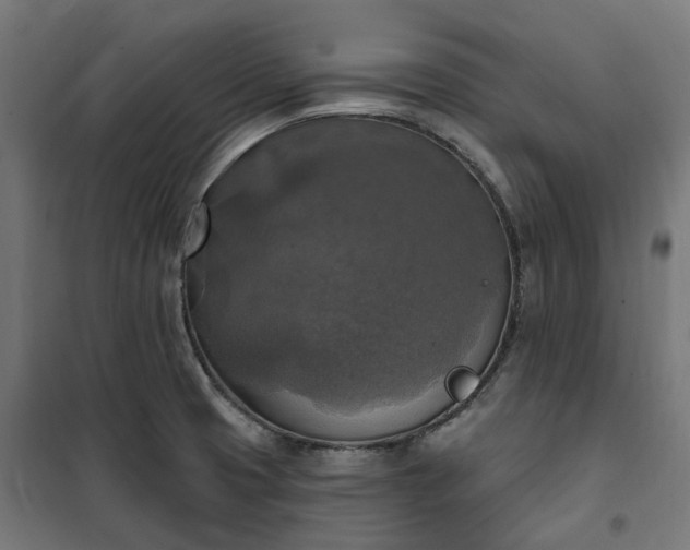 X0000100501425200806201705