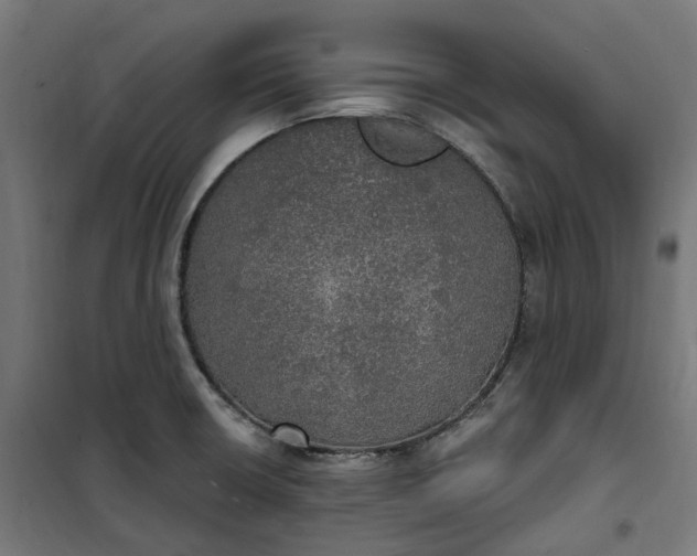 X0000100501426200806201705