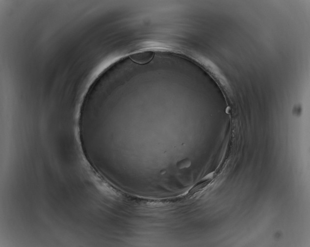 X0000100501427200806201705