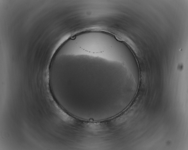 X0000100501428200806201705