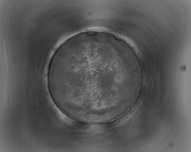 X0000100501430200806201705