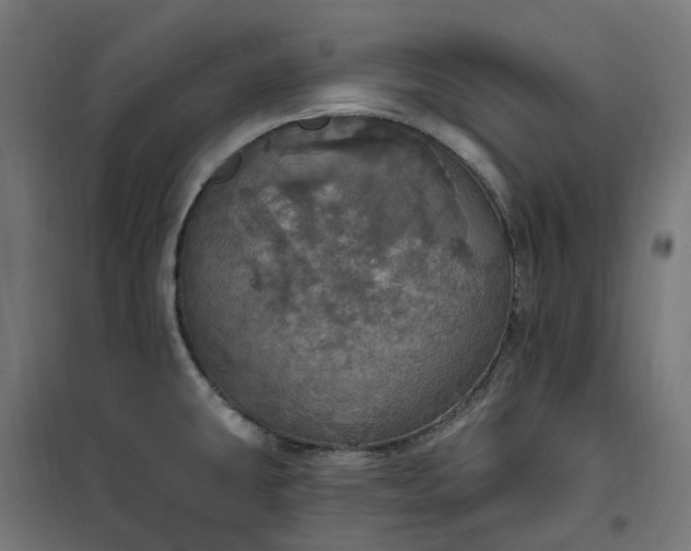 X0000100501431200806201705