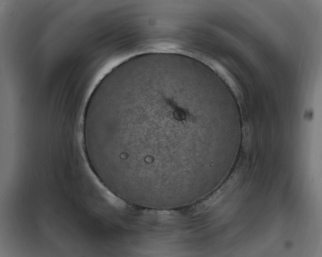 X0000100501432200806201705