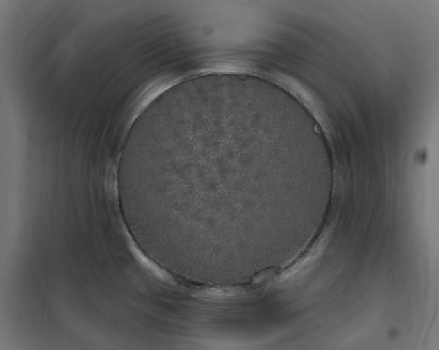 X0000100501433200806201705