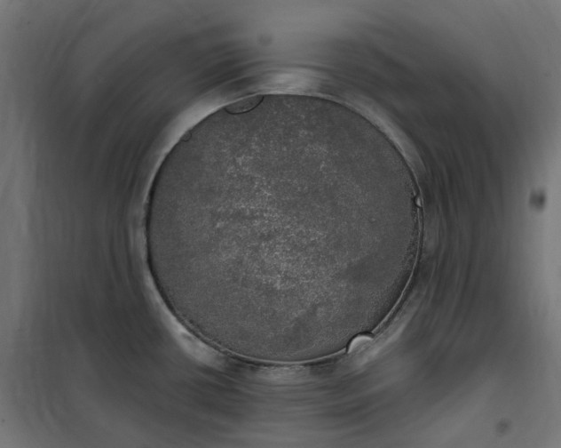 X0000100501434200806201705