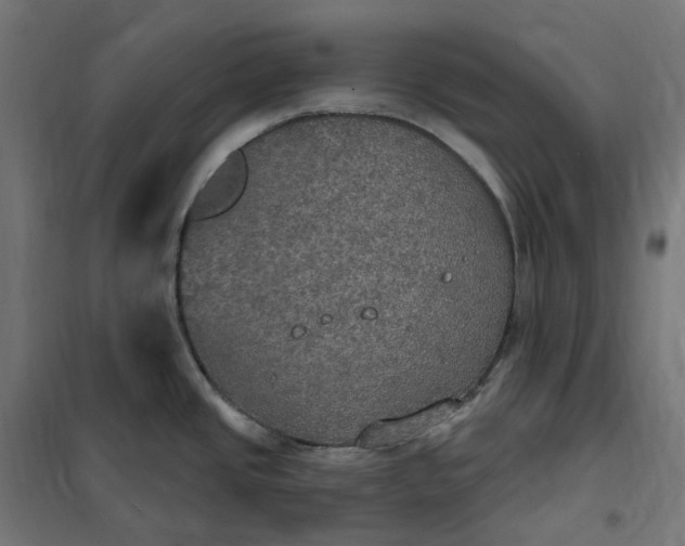 X0000100501437200806201705