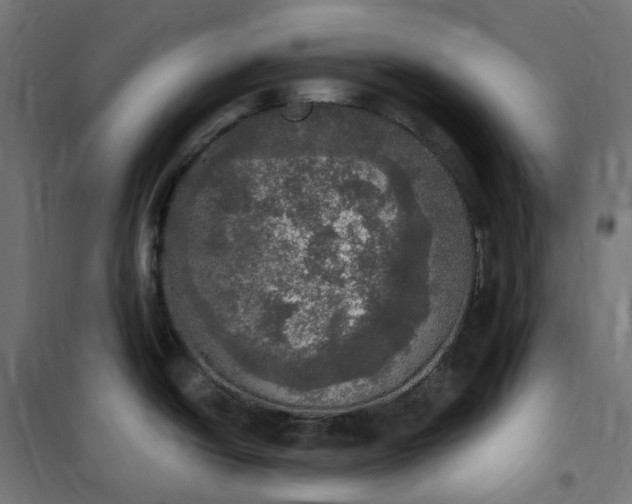 X0000100501438200806201705