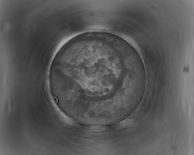 X0000100501440200806201705