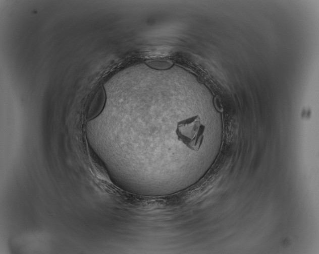 X0000100501441200806201704