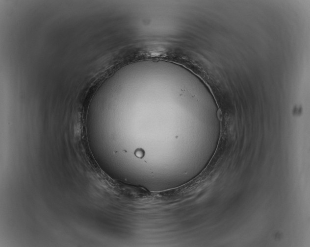 X0000100501442200806201704